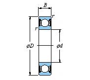 6007 BEARING