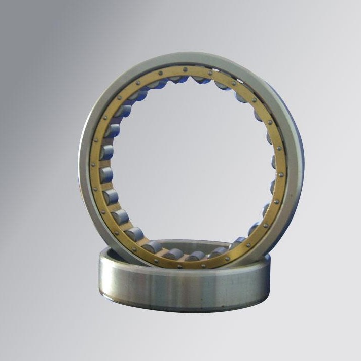 Cylindrical  Roller Bearing