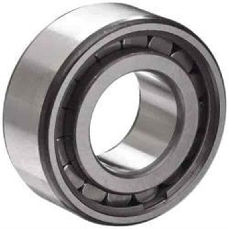 SL183004 cylindrical roller bearings