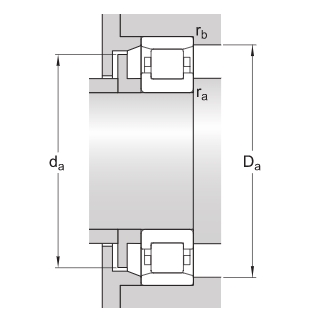 N213ECP